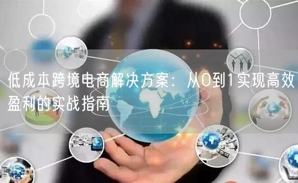 低成本跨境电商解决方案：从0到1实现高效盈利的实战指南