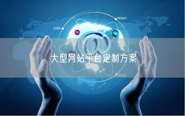 大型网站平台定制方案